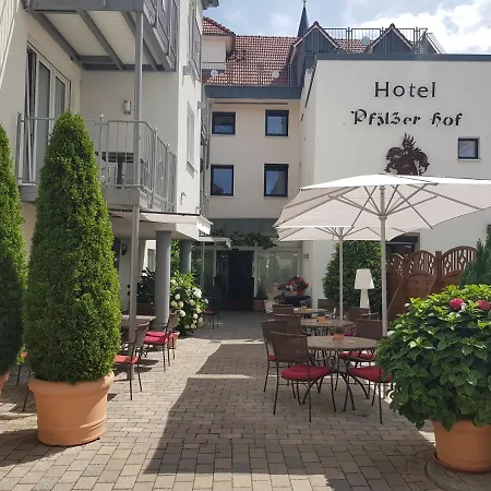 호텔 Hotel-restaurant Pfaelzer Hof 4*