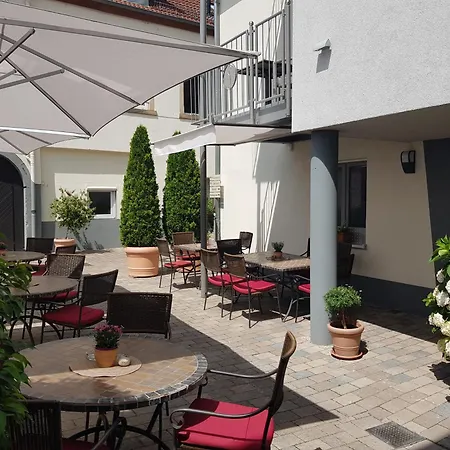 Hotel-restaurant Pfaelzer Hof ホテル