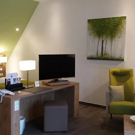 호텔 Hotel-restaurant Pfaelzer Hof 4*
