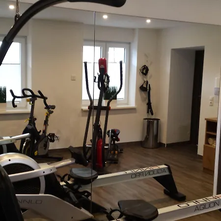 Hotel-restaurant Pfaelzer Hof 4* イデンコーベン