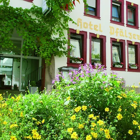 호텔 Hotel-restaurant Pfaelzer Hof 4*