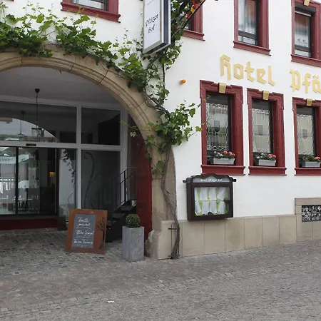 호텔 Hotel-restaurant Pfaelzer Hof