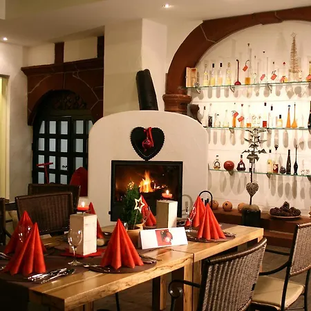 酒店 普法尔茨餐厅酒店 4*