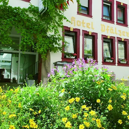 酒店 普法尔茨餐厅酒店 埃登科本