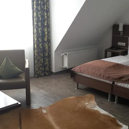 普法尔茨餐厅酒店 4*