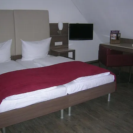 Hotel Hotel-restaurant Pfälzer Hof Edenkoben