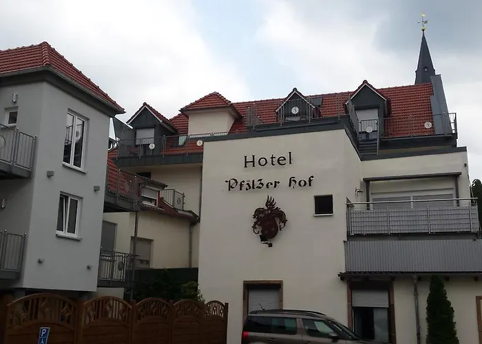 Hotel-restaurant Pfaelzer Hof Otel 4*