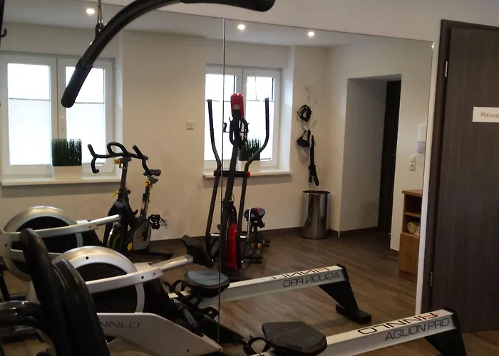 Hotel-restaurant Pfaelzer Hof 4* Edenkoben