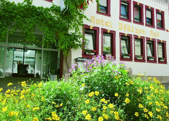 Otel Hotel-restaurant Pfaelzer Hof Edenkoben