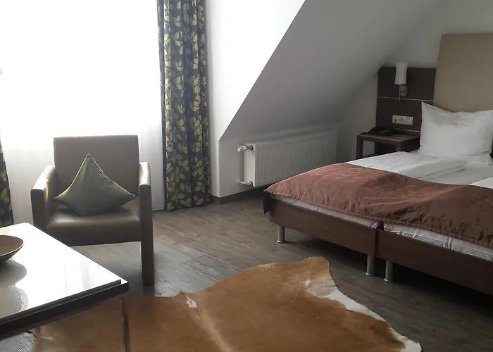 Hotel-restaurant Pfaelzer Hof 4*